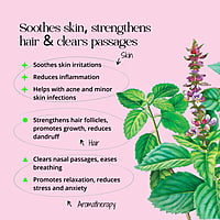 Tulsi 10ml Tulsi 10ml