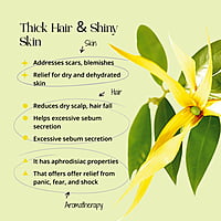 Ylang Ylang 10ml Ylang Ylang 10ml