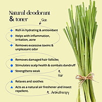 Lemongrass 10ml Lemongrass 10ml