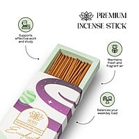 Premium Eucalyptus Incense Sticks Premium Eucalyptus Incense Sticks