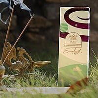 Premium Eucalyptus Incense Sticks Premium Eucalyptus Incense Sticks